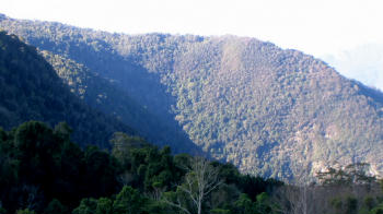 Carria Mountains