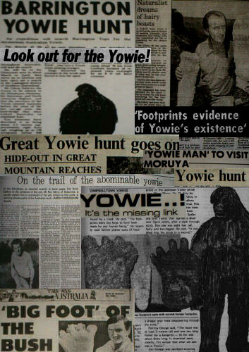 Yowie Newspaper Articles