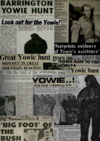 Yowie Newspaper Articles Collage