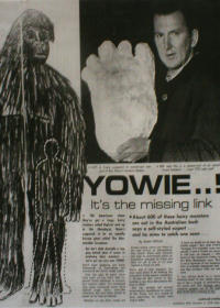 Yowie Newspaper Articles Collage